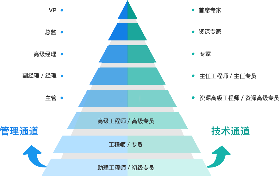雙通道發(fā)展路徑